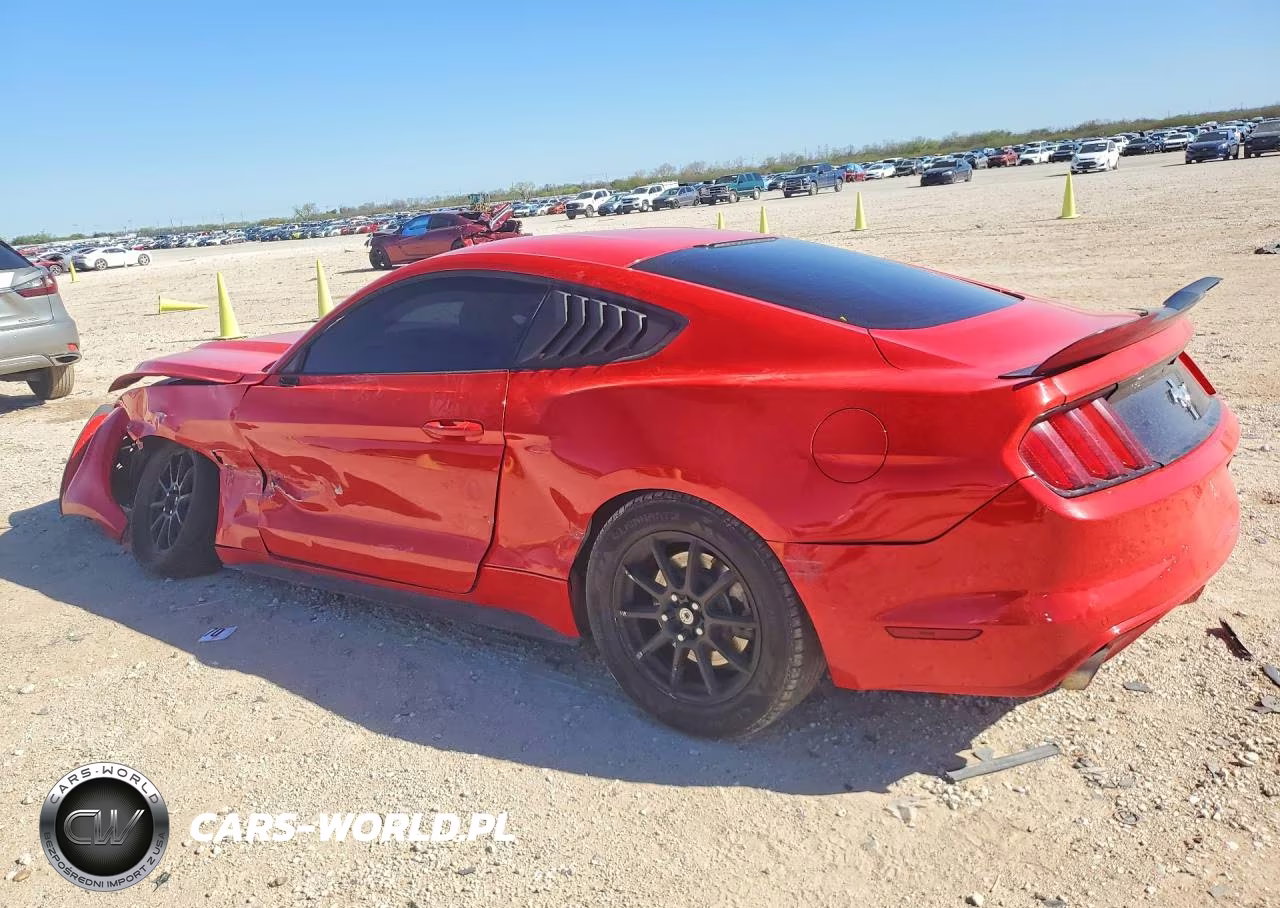 2016 Ford Mustang VIN:1FA6P8AM0G5260388 - 2