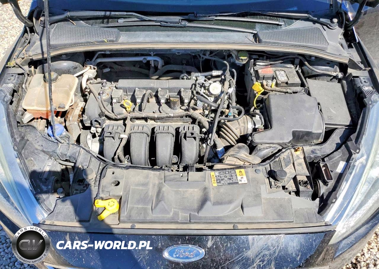2016 Ford Focus Se VIN:1FADP3K24GL335712 - 11