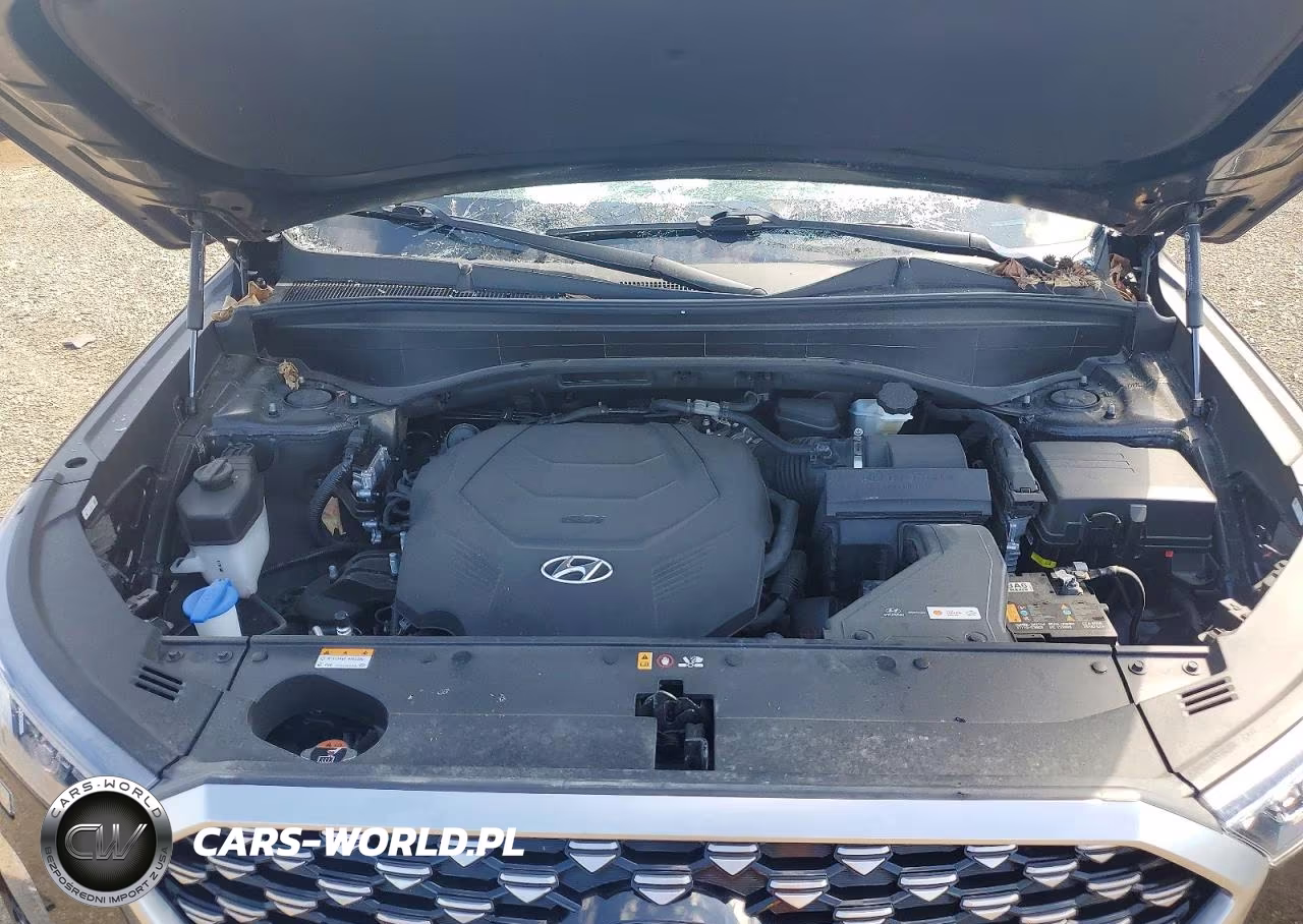 2022 Hyundai Palisade Calligraphy VIN:KM8R7DHE7NU426600 - 12