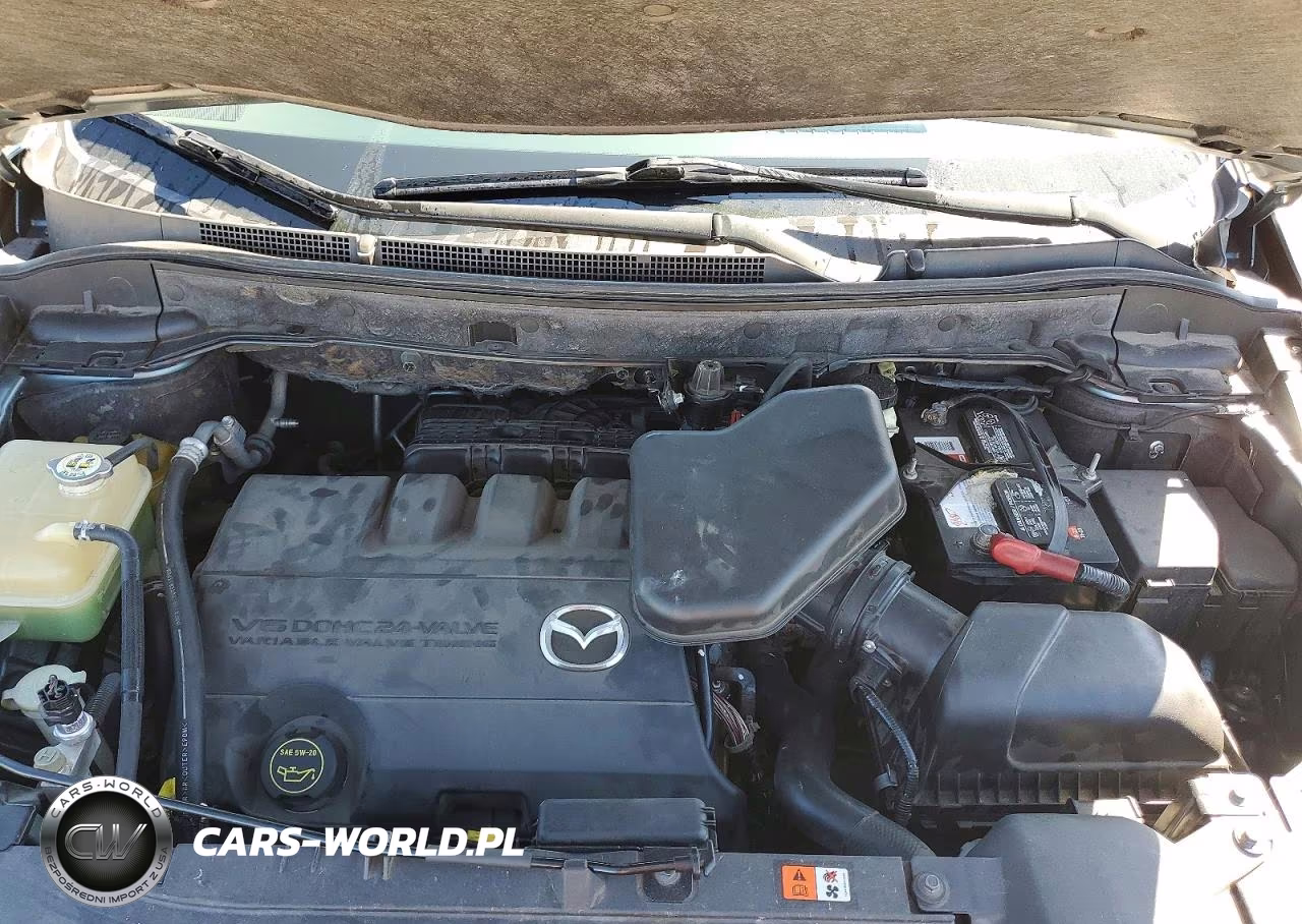 2010 Mazda Cx-9 VIN:JM3TB2MA5A0208938 - 12