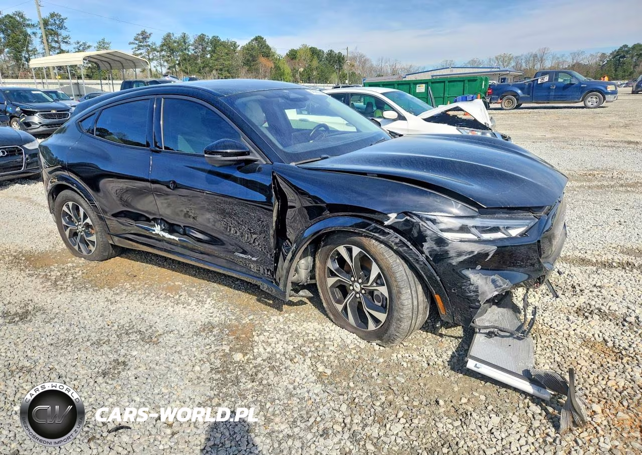2021 Ford Mustang Mach-E Premium VIN:3FMTK3RM7MMA46115 - 4