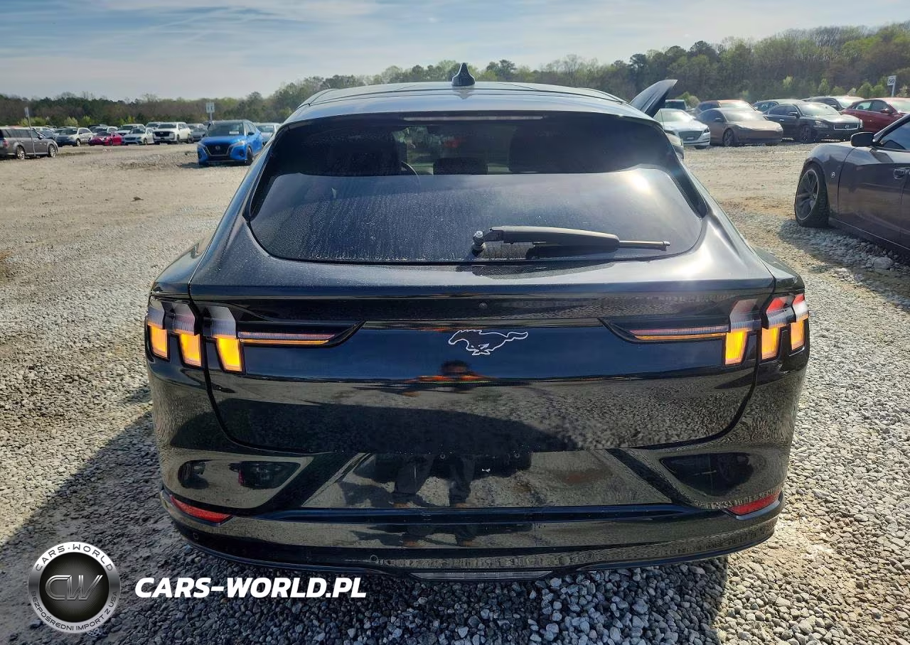 2021 Ford Mustang Mach-E Premium VIN:3FMTK3RM7MMA46115 - 6