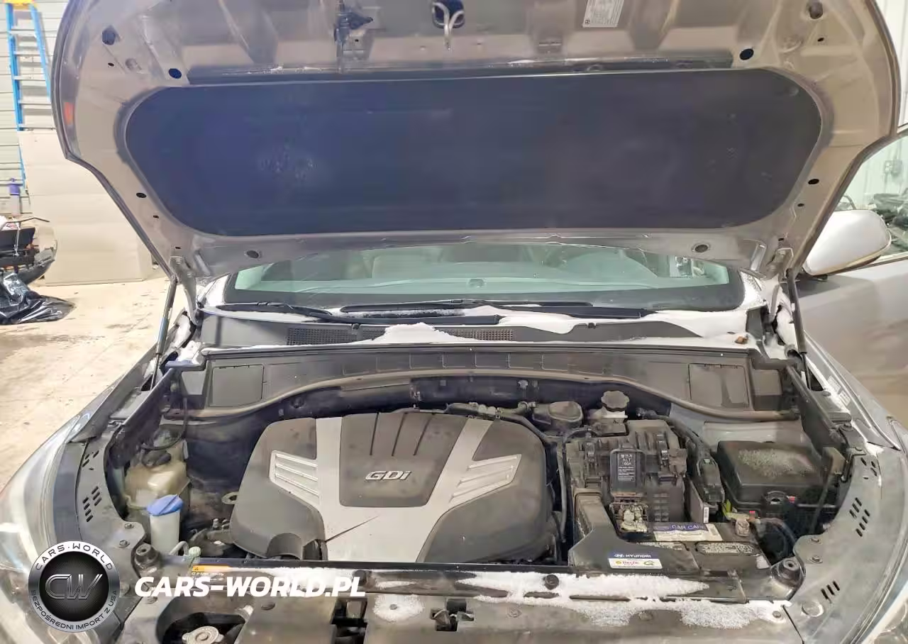 2017 Hyundai Santa Fe Limited Ultimate VIN:KM8SRDHF9HU177435 - 12