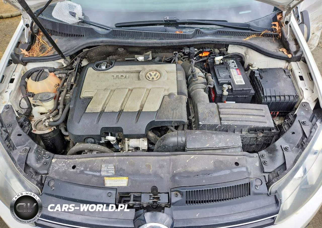 2010 Volkswagen Golf VIN:WVWNM9AJ0AW292558 - 11