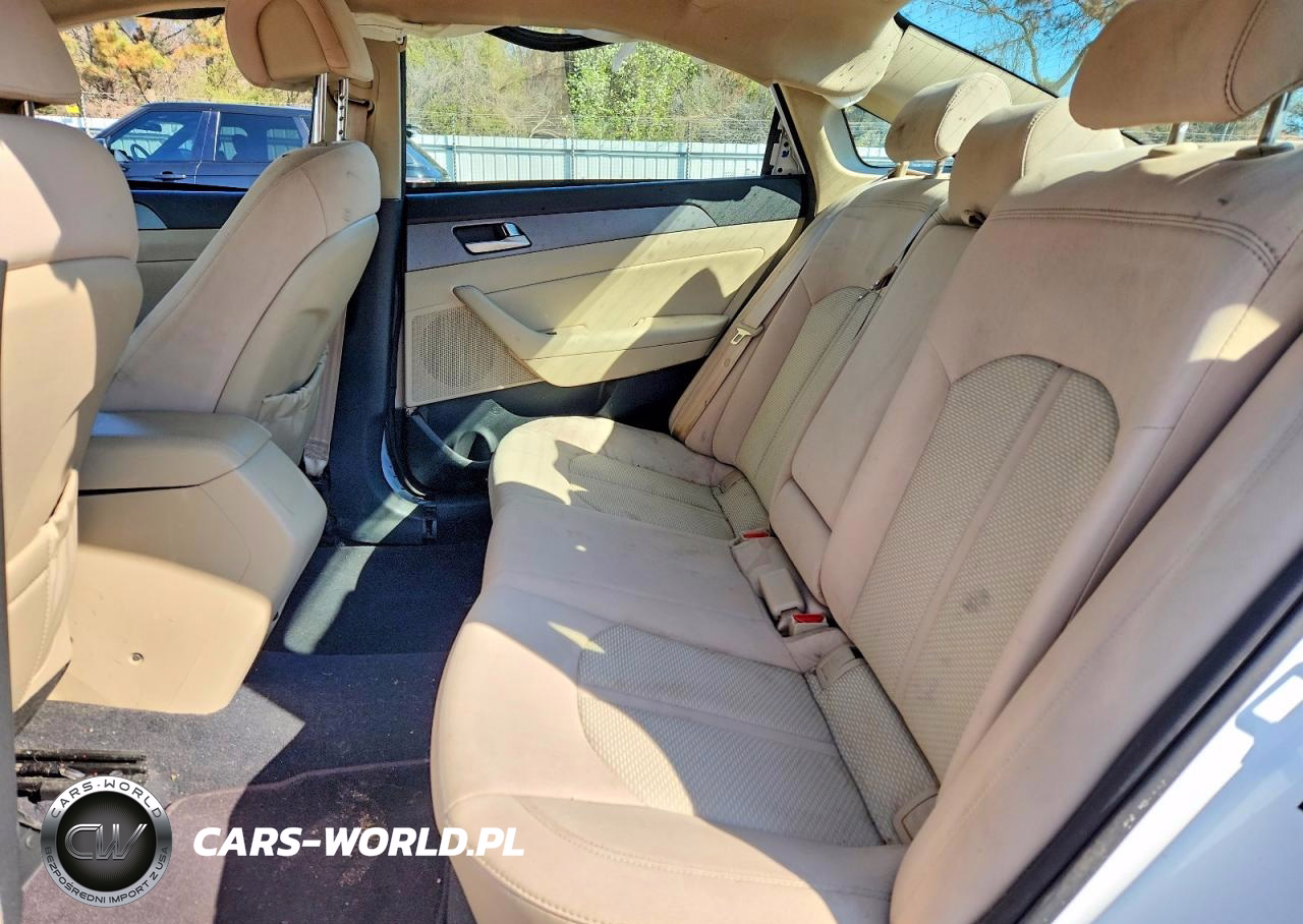 2015 Hyundai Sonata Eco VIN:5NPE24AA6FH139530 - 10