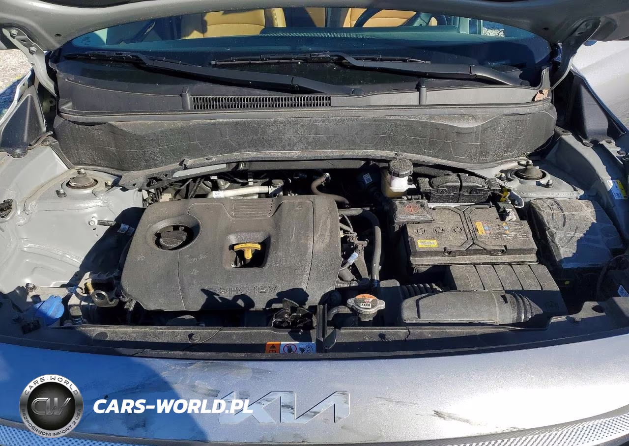 2024 Kia Seltos Ex VIN:KNDERCAA0R7652531 - 12