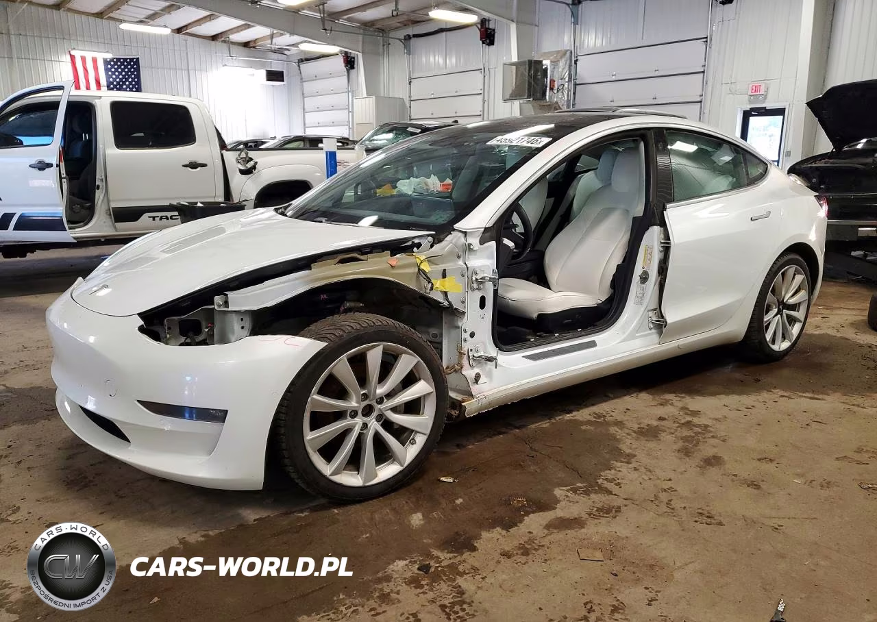 2019 Tesla Model 3