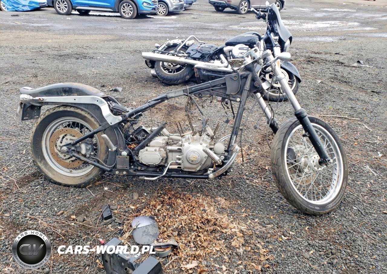 2003 Harley-Davidson Fxsti