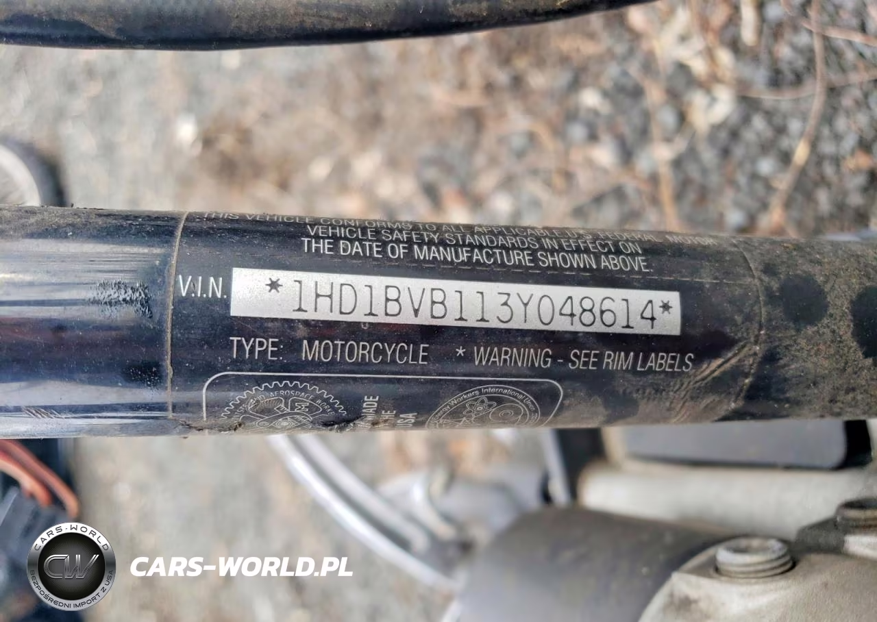 2003 Harley-Davidson Fxsti VIN:1HD1BVB113Y048614 - 8