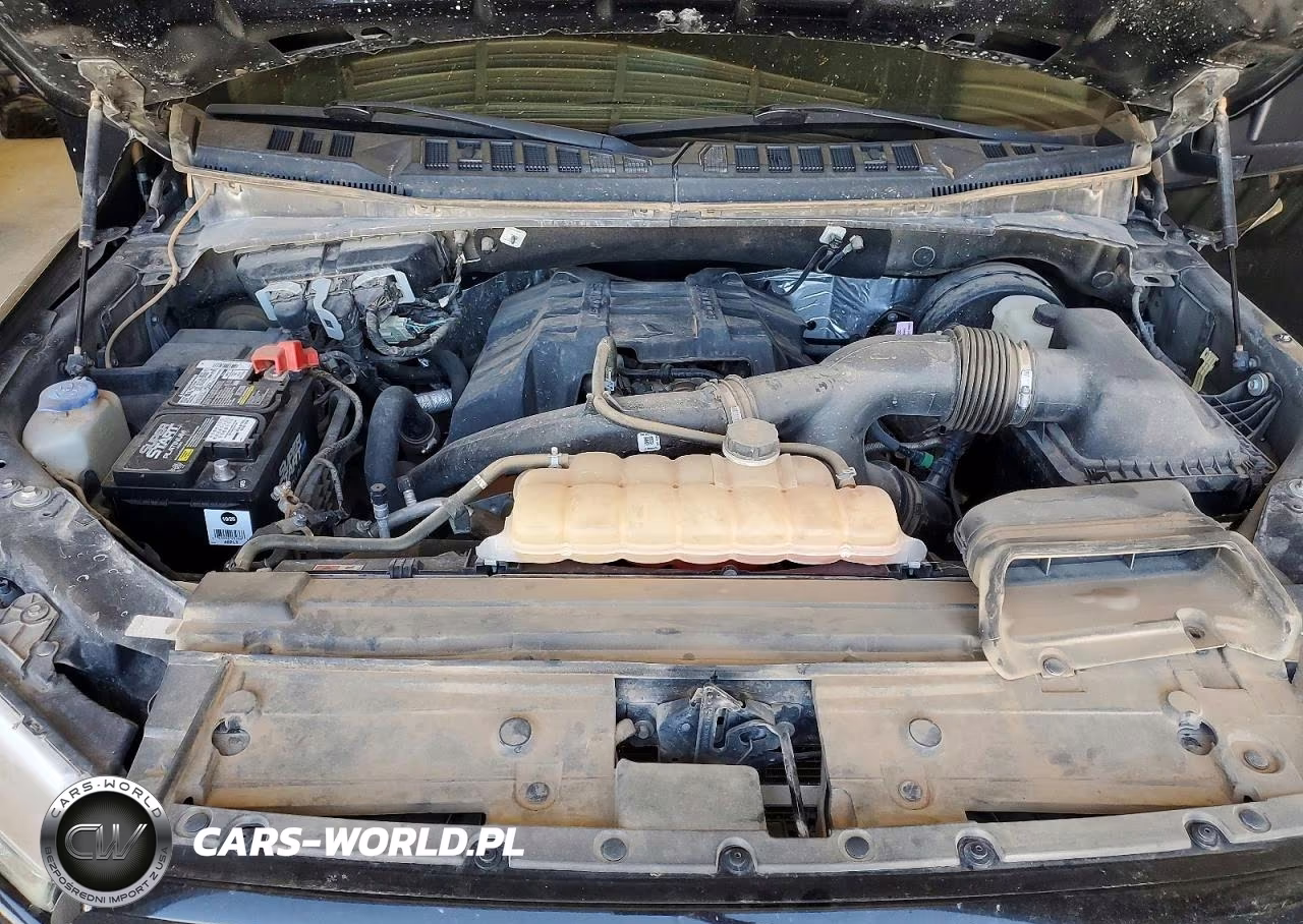 2018 Ford F-150 Supercrew VIN:1FTEW1CP1JKF21186 - 11