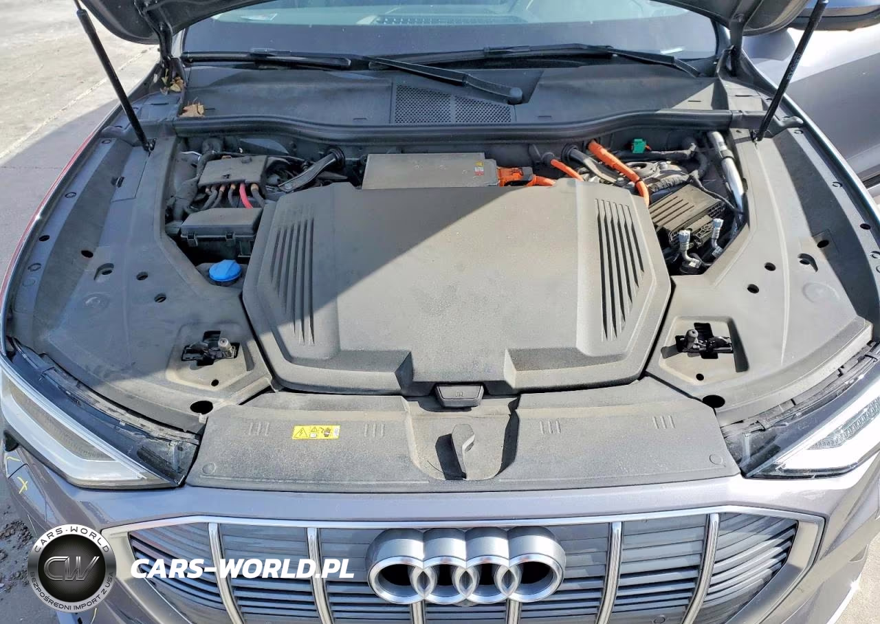 2022 Audi E-Tron Premium Plus VIN:WA1LAAGE7NB013299 - 12
