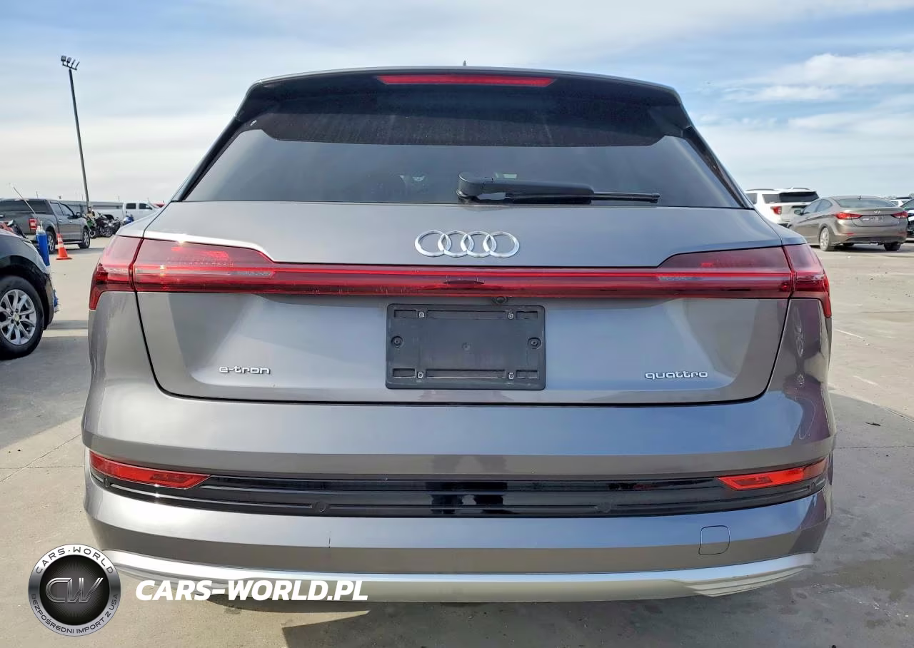 2022 Audi E-Tron Premium Plus VIN:WA1LAAGE7NB013299 - 6