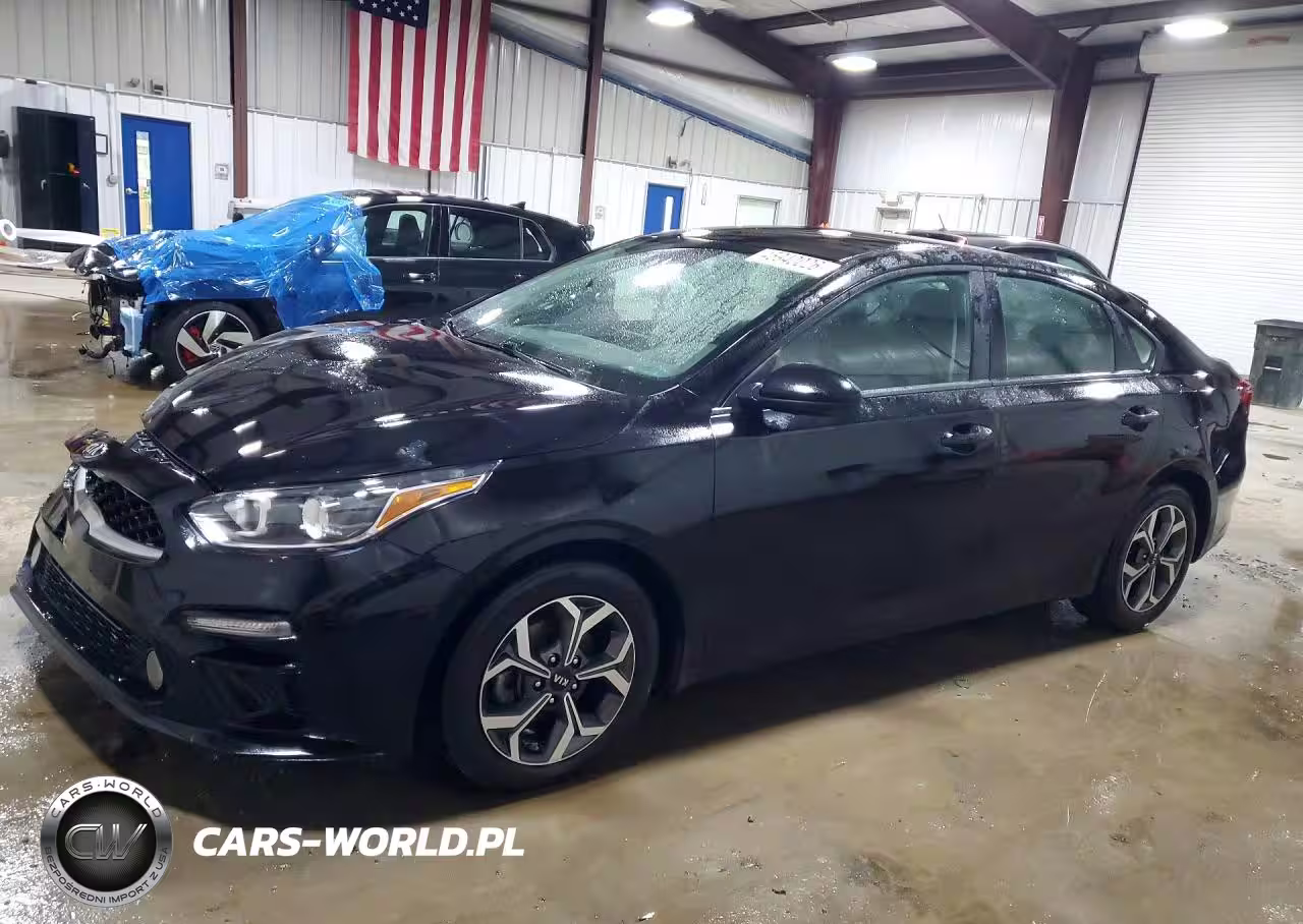2019 Kia Forte Lxs
