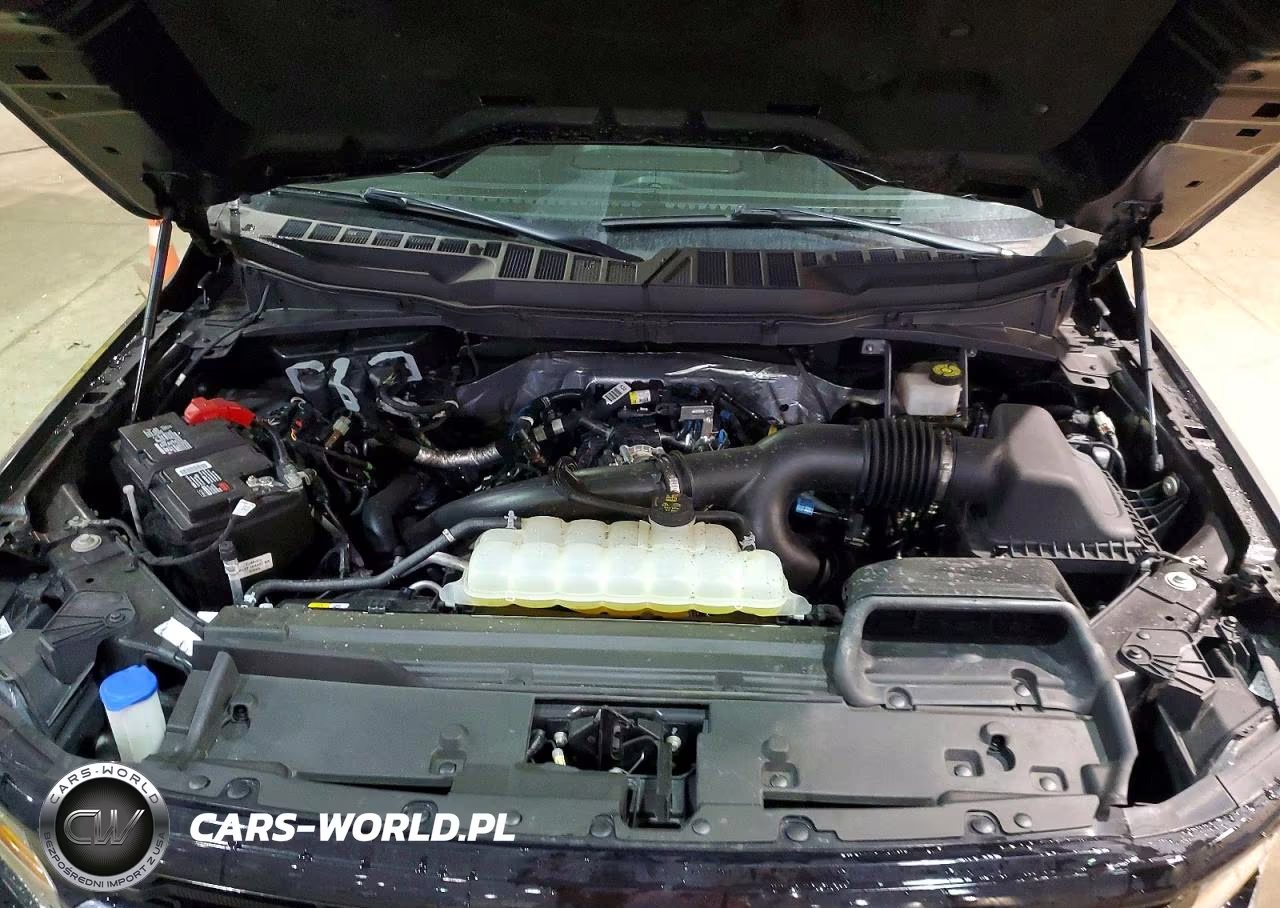 2024 Ford F150 Xlt VIN:1FTEW3LP2RKD56353 - 11