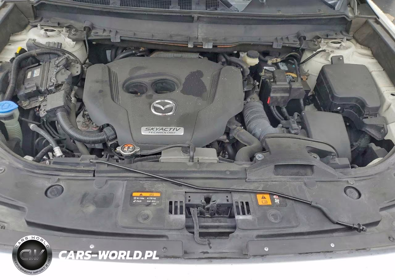 2018 Mazda Cx-9 Signature VIN:JM3TCBEY5J0224663 - 12