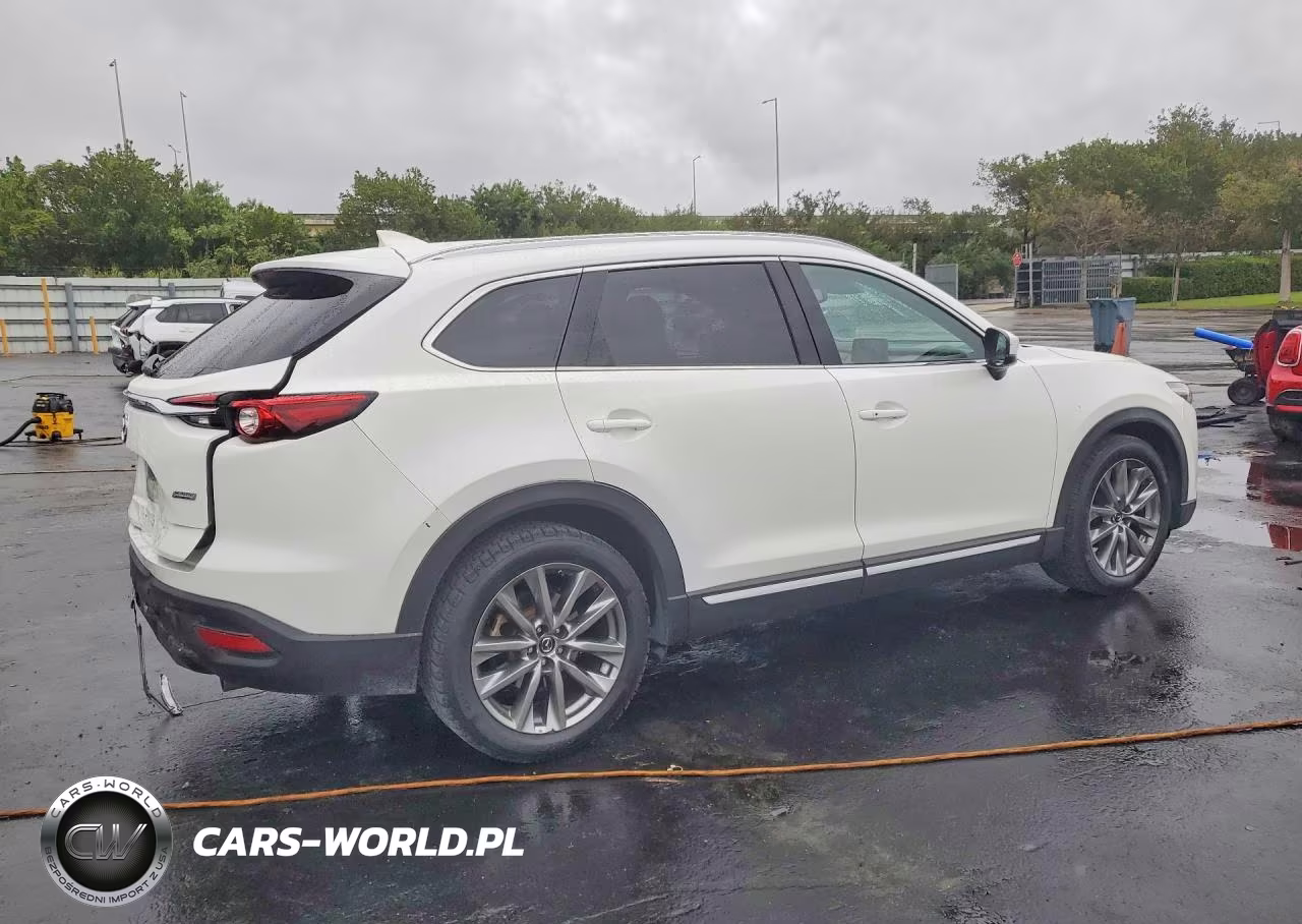 2018 Mazda Cx-9 Signature VIN:JM3TCBEY5J0224663 - 3