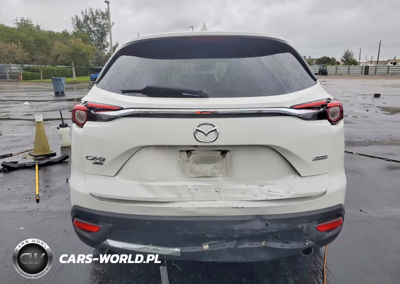 2018 Mazda Cx-9 Signature VIN:JM3TCBEY5J0224663 - 6