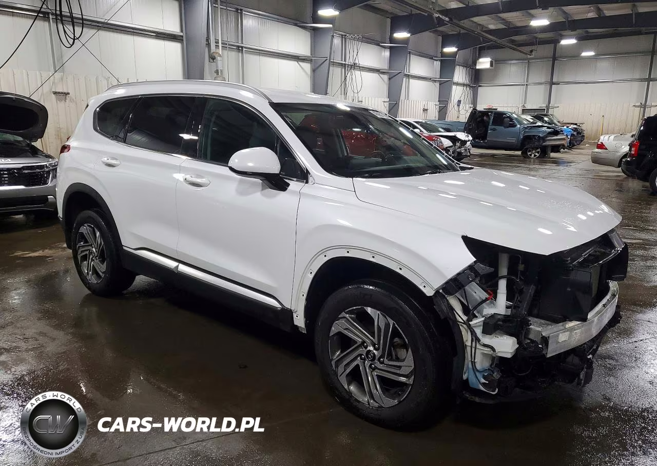 2022 Hyundai Santa Fe Sel VIN:5NMS2DAJ7NH469501 - 4