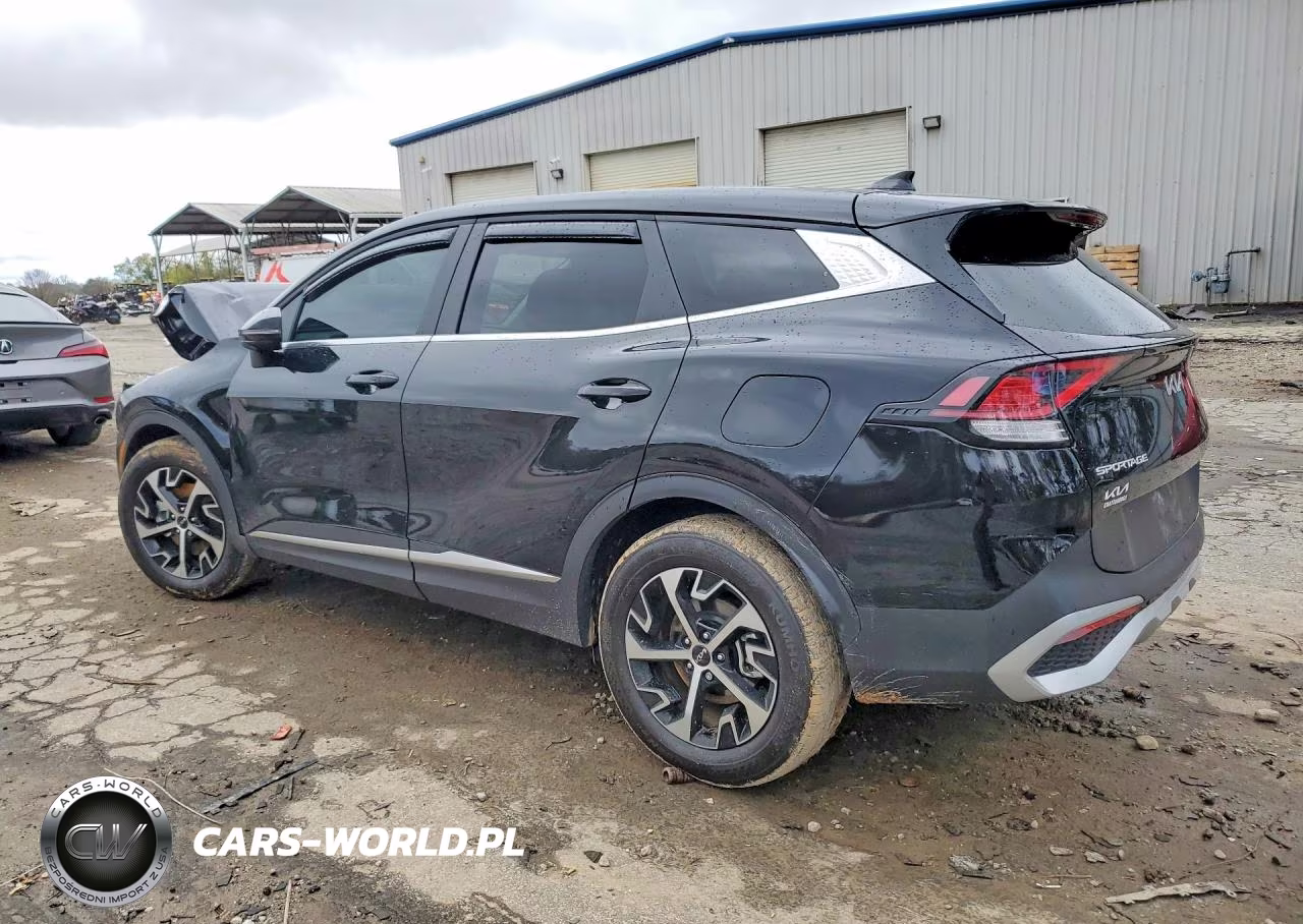 2025 Kia Sportage Ex VIN:5XYK33DF9SG248020 - 2