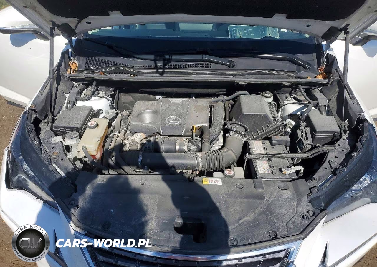 2019 Lexus Nx 300 Base VIN:JTJBARBZ4K2187155 - 12