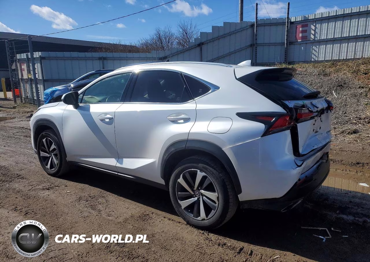 2019 Lexus Nx 300 Base VIN:JTJBARBZ4K2187155 - 2