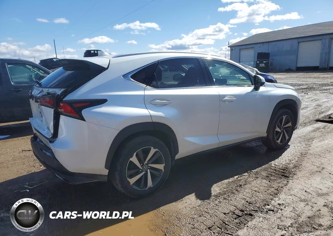 2019 Lexus Nx 300 Base VIN:JTJBARBZ4K2187155 - 3