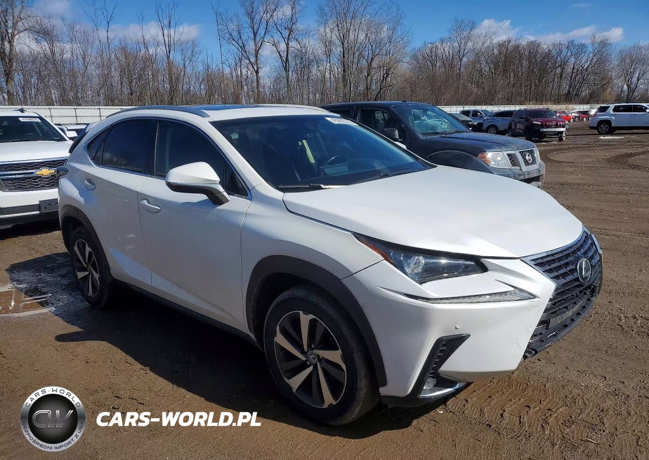 2019 Lexus Nx 300 Base VIN:JTJBARBZ4K2187155 - 4