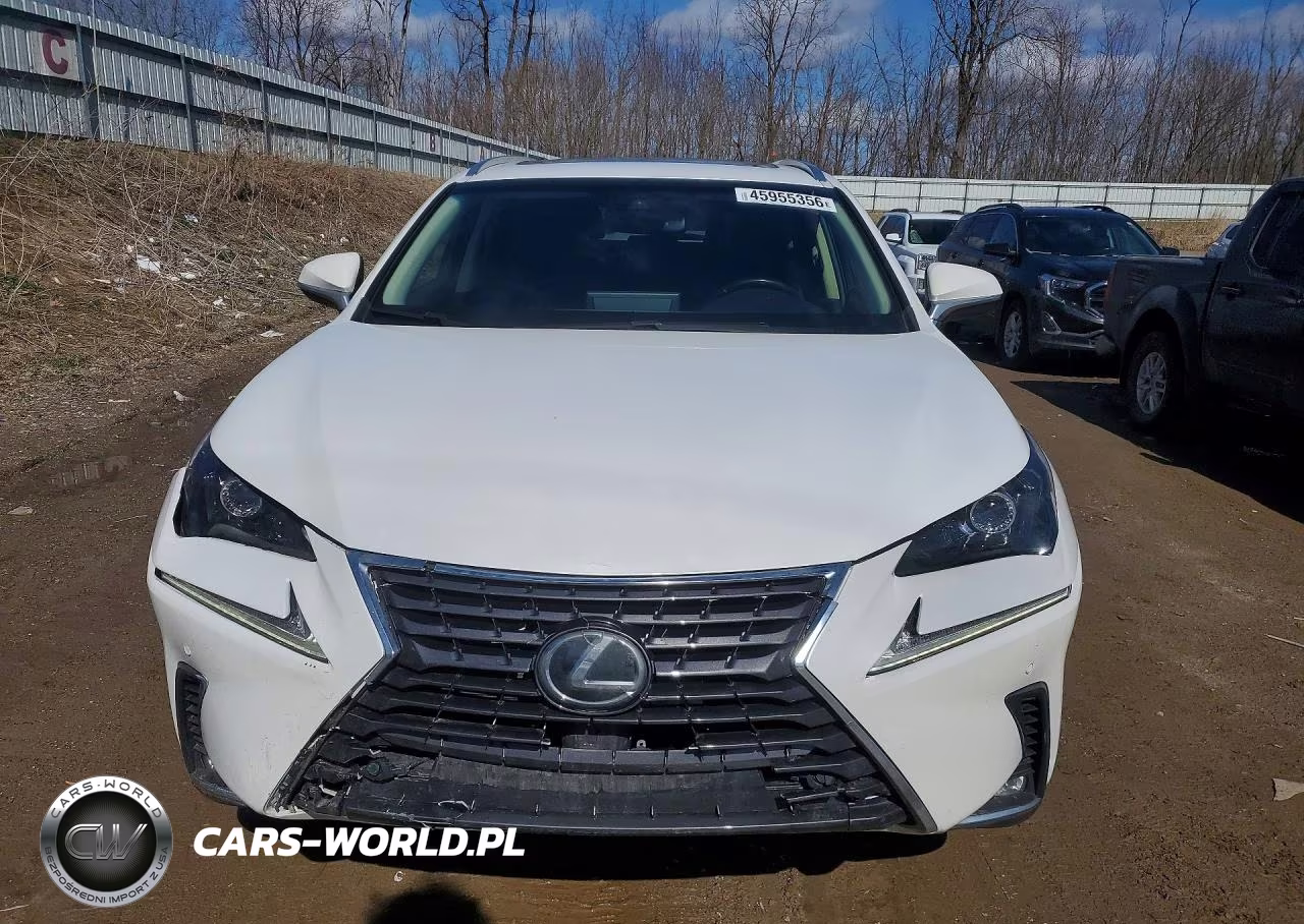 2019 Lexus Nx 300 Base VIN:JTJBARBZ4K2187155 - 5