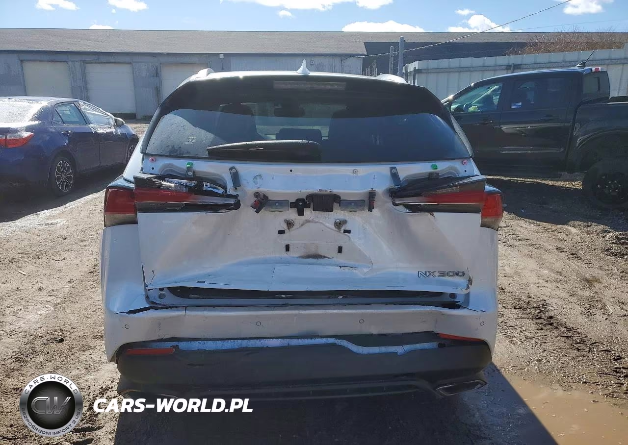 2019 Lexus Nx 300 Base VIN:JTJBARBZ4K2187155 - 6