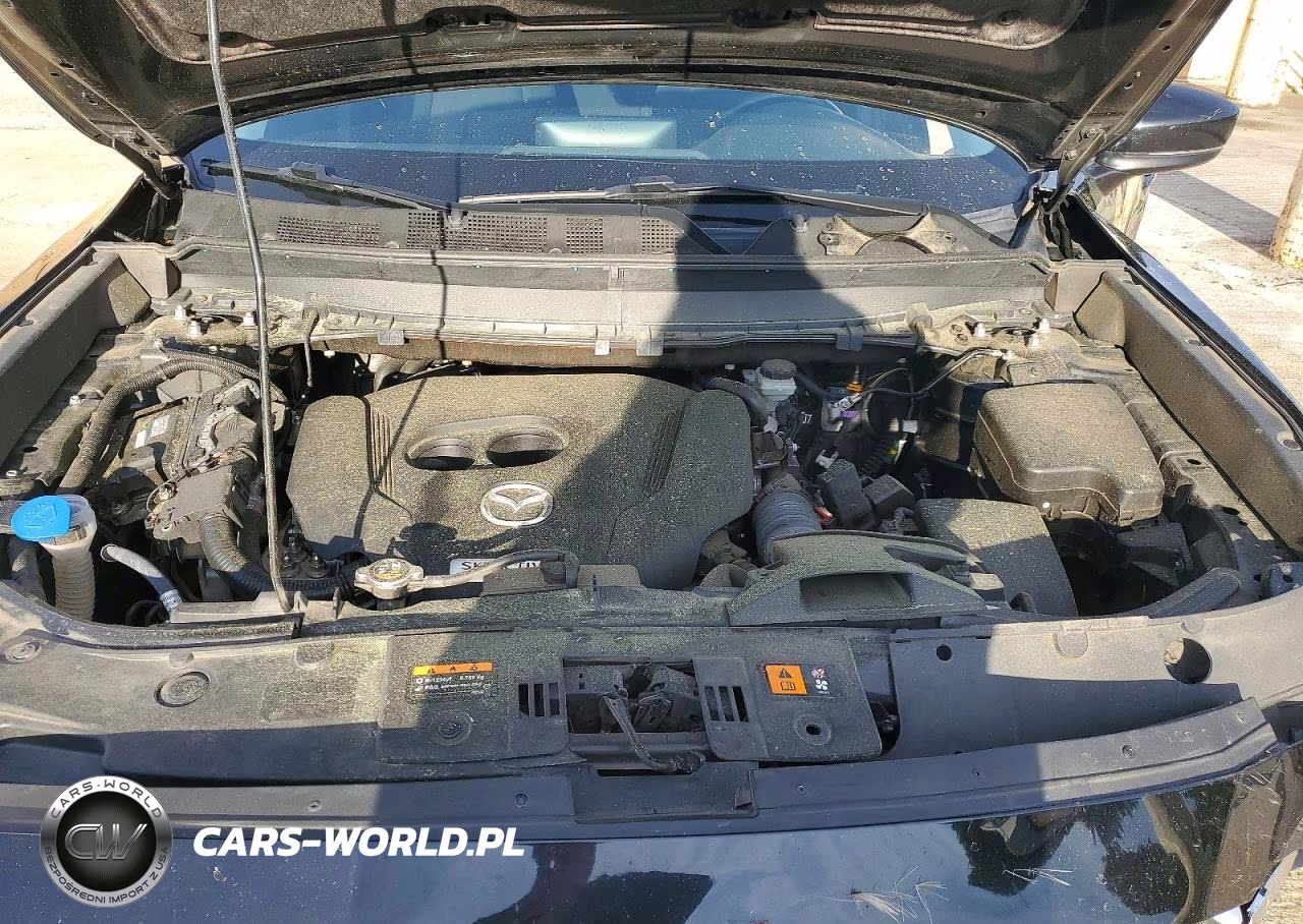 2022 Mazda Cx-9 Sport VIN:JM3TCBBY2N0624402 - 11