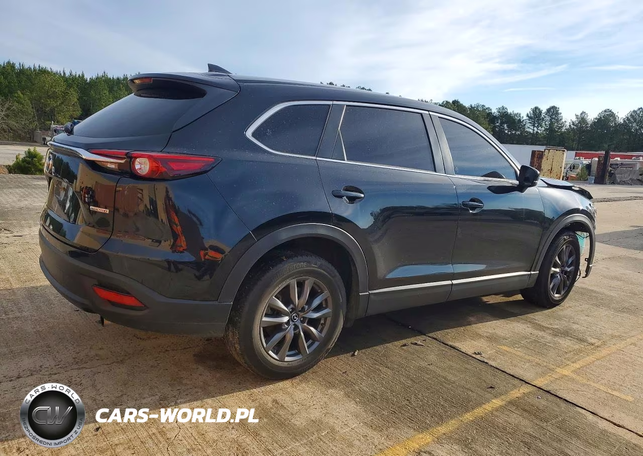 2022 Mazda Cx-9 Sport VIN:JM3TCBBY2N0624402 - 3