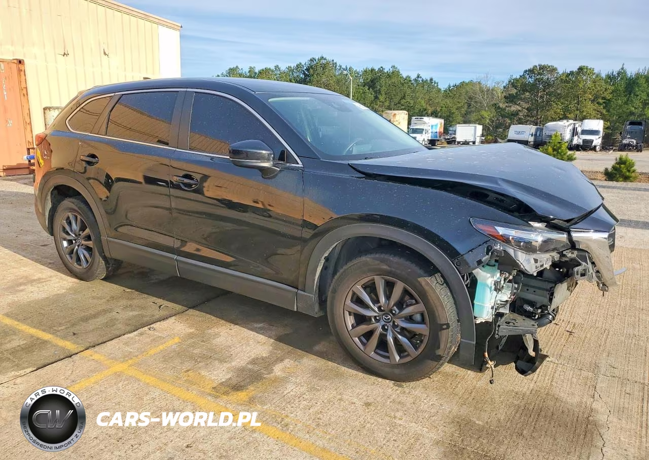 2022 Mazda Cx-9 Sport VIN:JM3TCBBY2N0624402 - 4