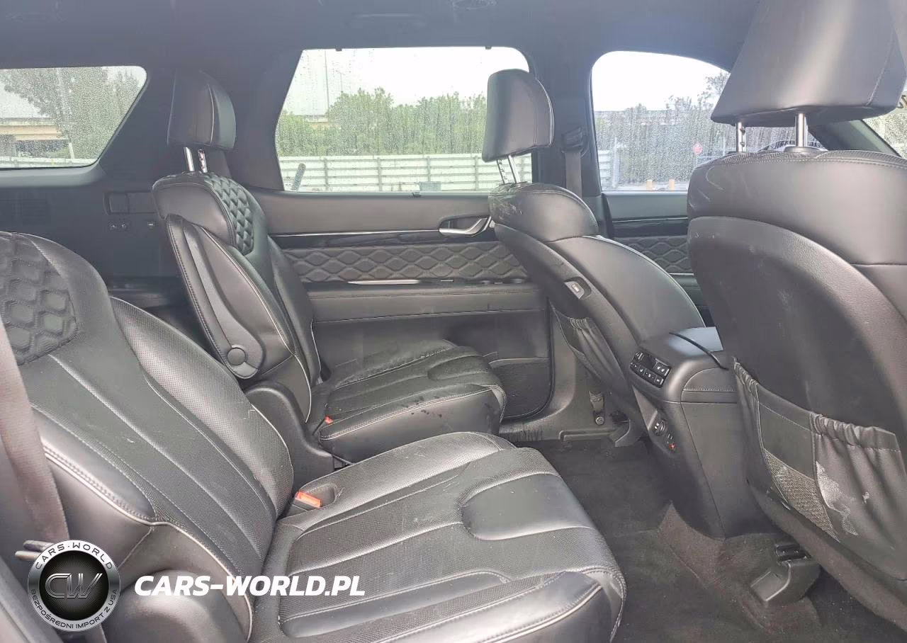 2020 Hyundai Palisade Limited VIN:KM8R54HE3LU092259 - 10