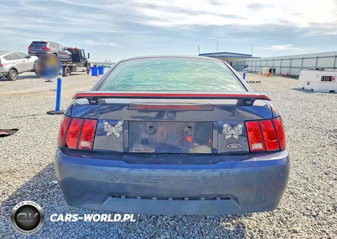 2003 Ford Mustang VIN:1FAFP40483F413176 - 6