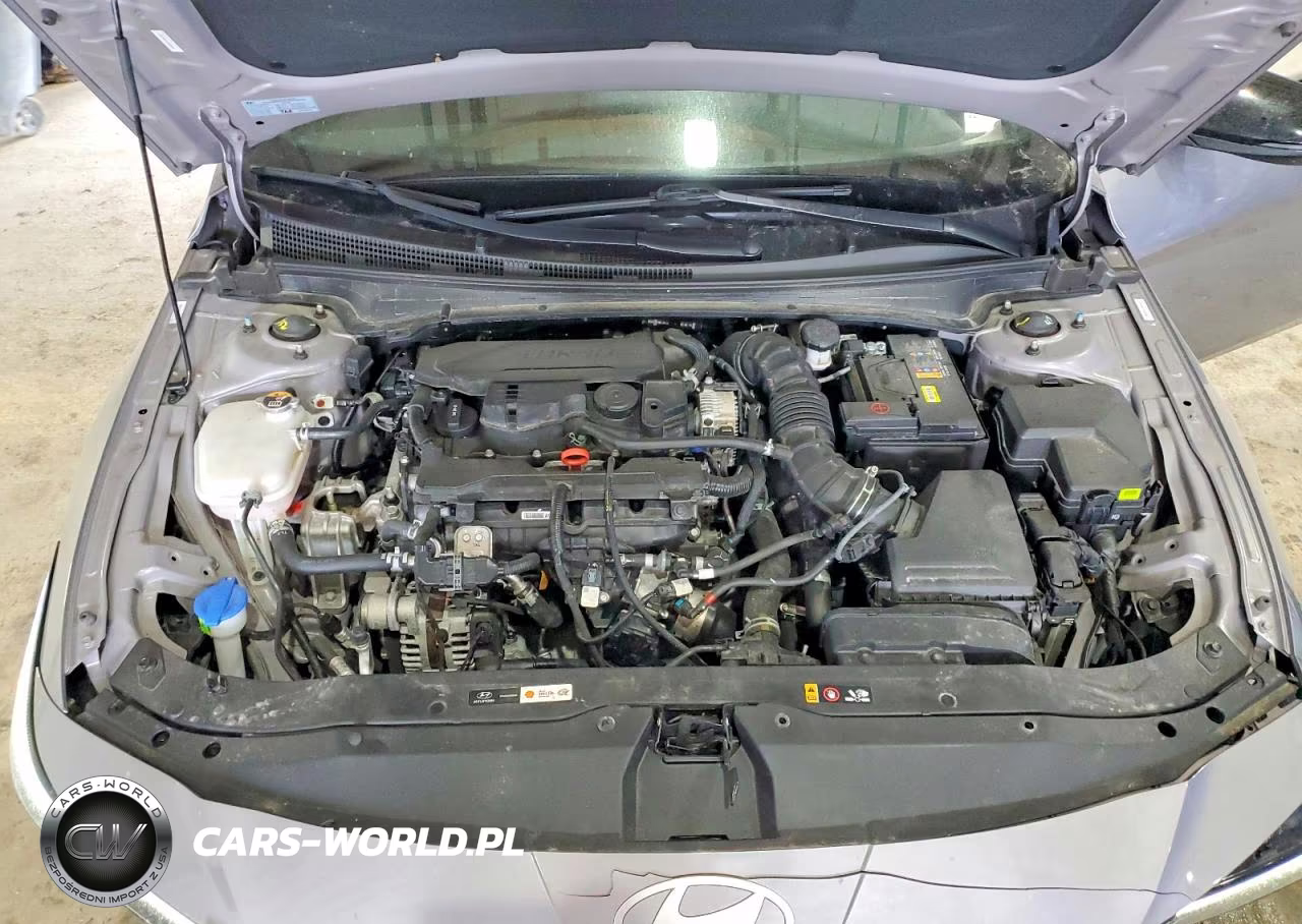2025 Hyundai Elantra N Line VIN:KMHLR4DFXSU935042 - 11