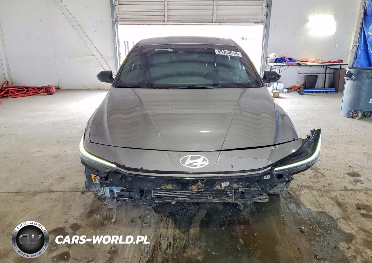 2025 Hyundai Elantra N Line VIN:KMHLR4DFXSU935042 - 5