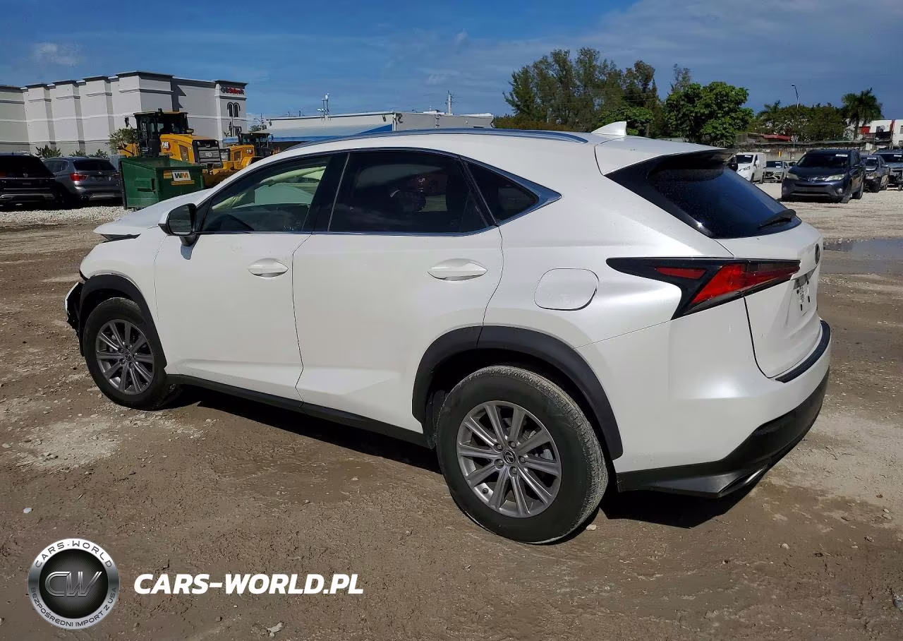 2020 Lexus Nx 300 Base VIN:JTJAARBZXL5003901 - 2