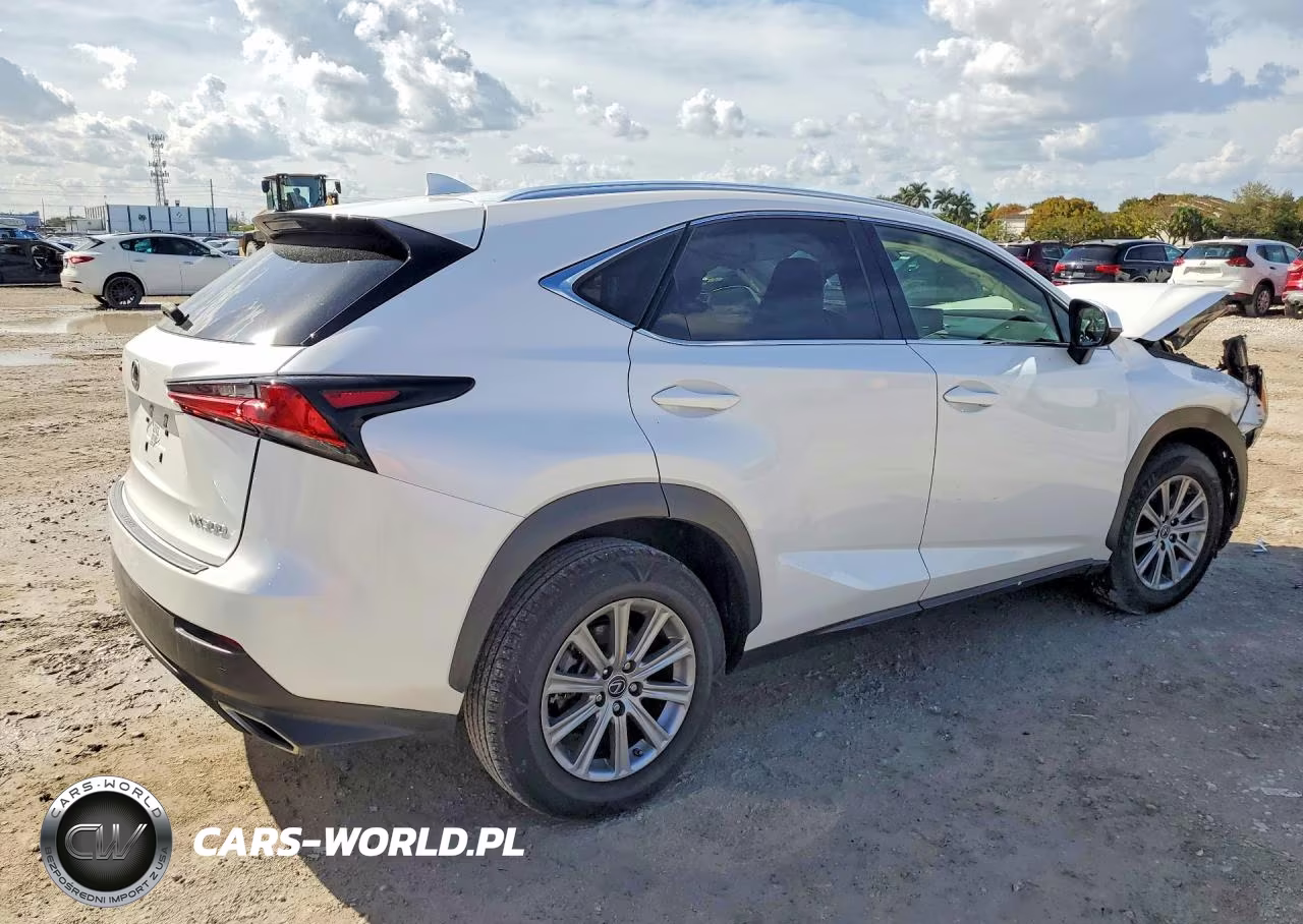 2020 Lexus Nx 300 Base VIN:JTJAARBZXL5003901 - 3