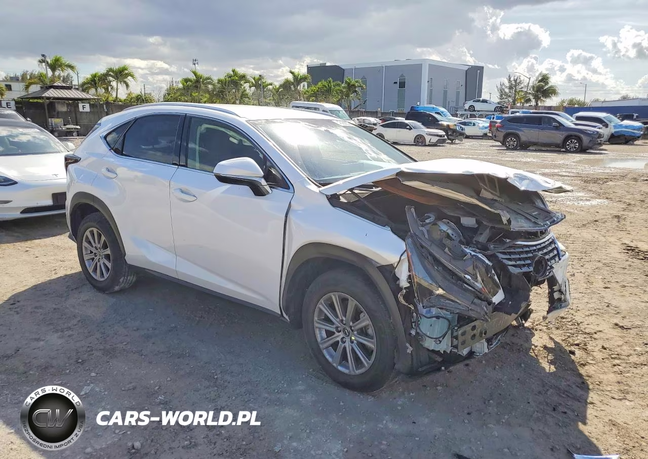 2020 Lexus Nx 300 Base VIN:JTJAARBZXL5003901 - 4