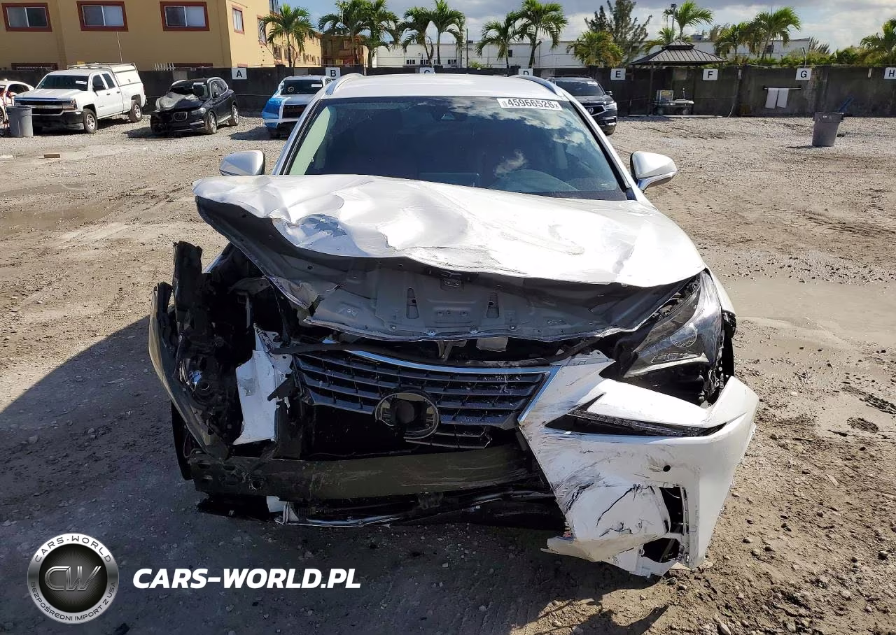 2020 Lexus Nx 300 Base VIN:JTJAARBZXL5003901 - 5