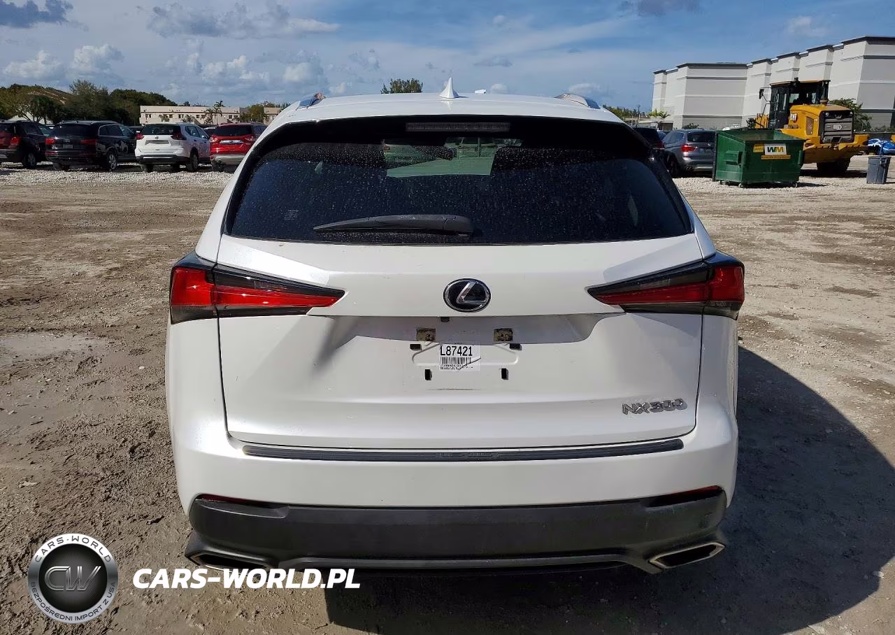 2020 Lexus Nx 300 Base VIN:JTJAARBZXL5003901 - 6