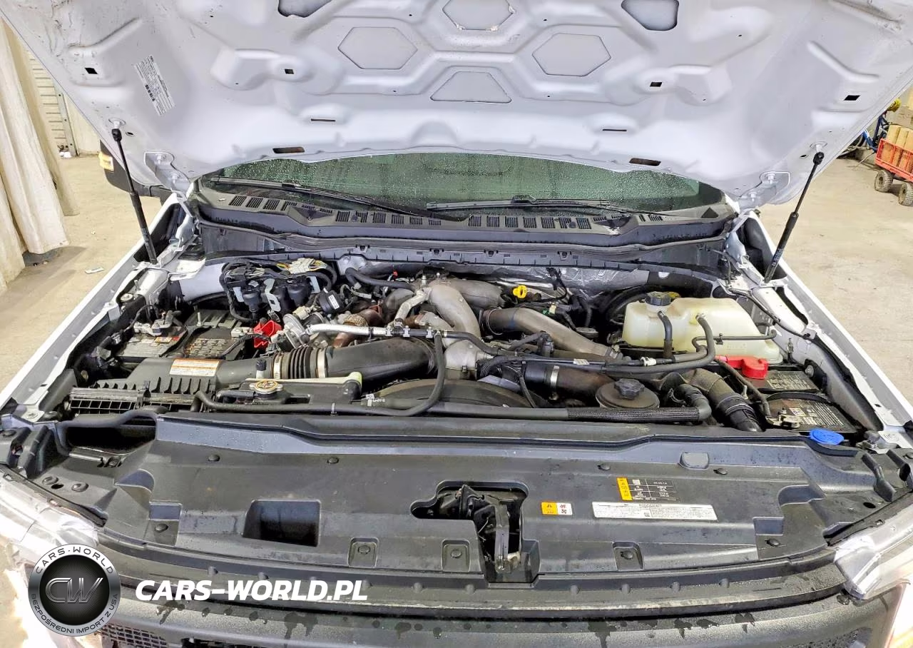 2025 Ford F250 Super Duty VIN:1FT7W2BT1SEC76161 - 11