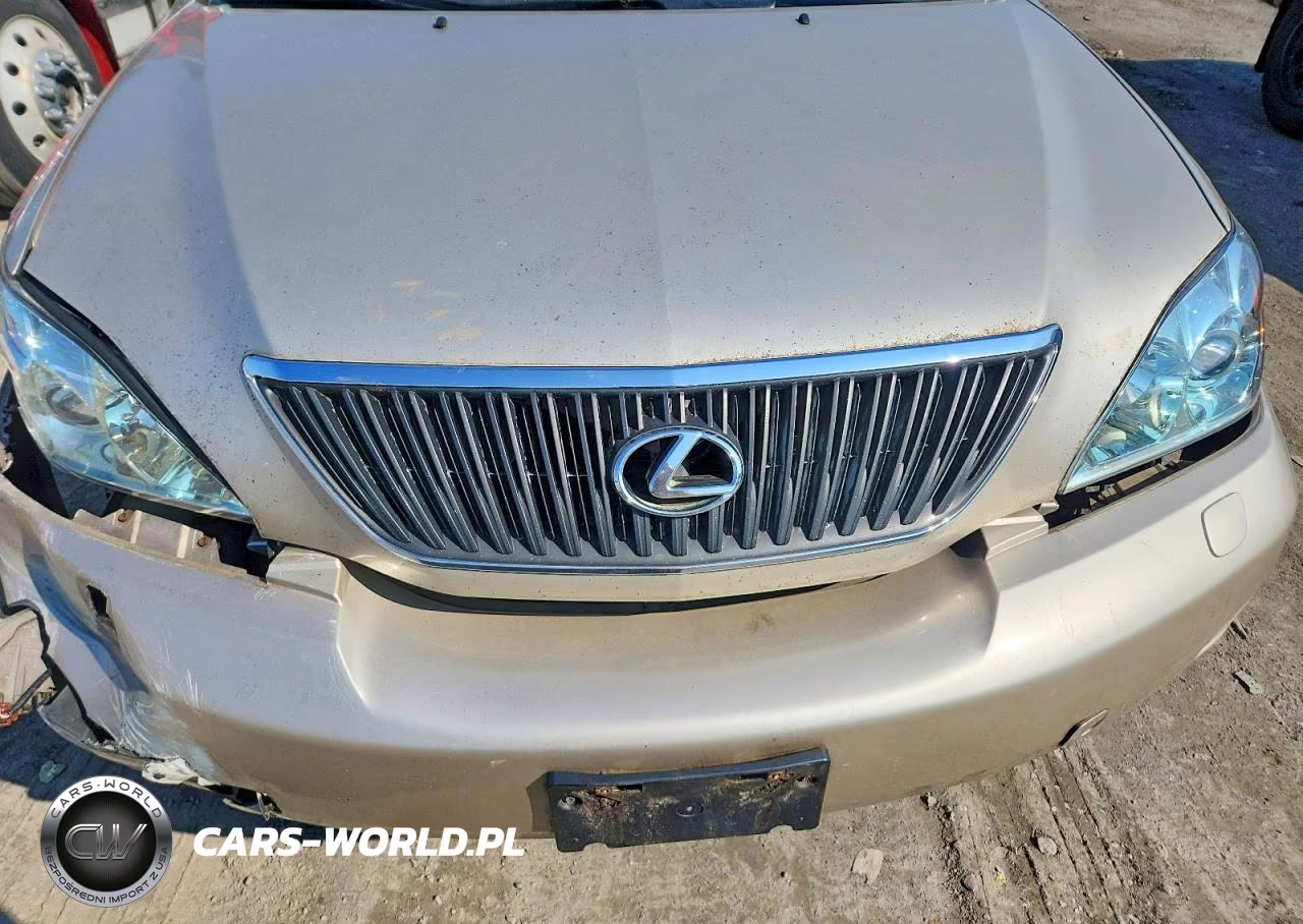 2004 Lexus Rx 330 Base VIN:JTJHA31U640023451 - 12