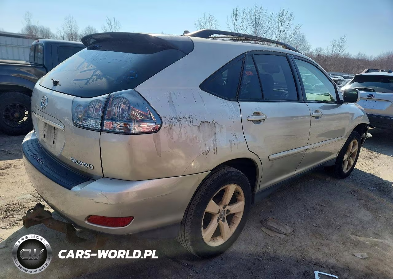 2004 Lexus Rx 330 Base VIN:JTJHA31U640023451 - 3