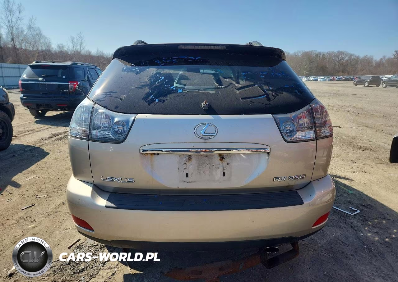 2004 Lexus Rx 330 Base VIN:JTJHA31U640023451 - 6