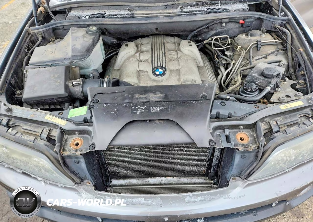 2004 BMW X5 4.4I VIN:5UXFB53594LV03103 - 12