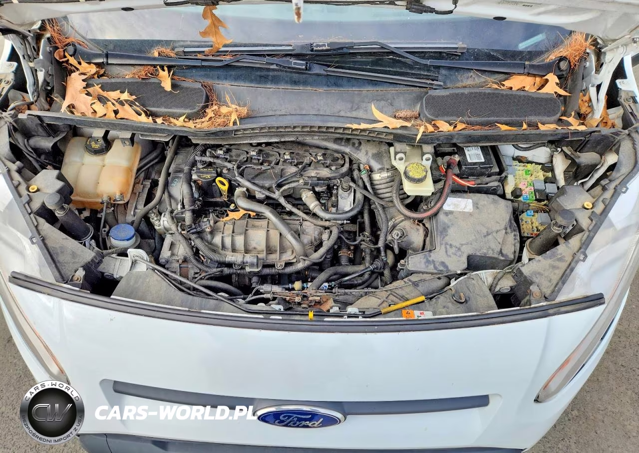 2016 Ford Transit Connect Xlt VIN:NM0LS7FX5G1250114 - 12