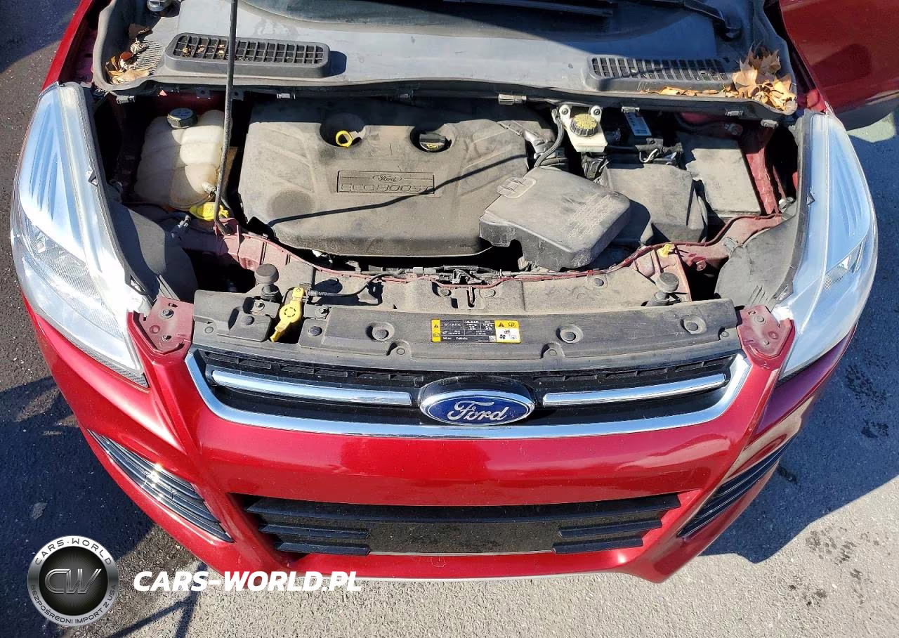 2013 Ford Escape Sel VIN:1FMCU9H9XDUB28216 - 12