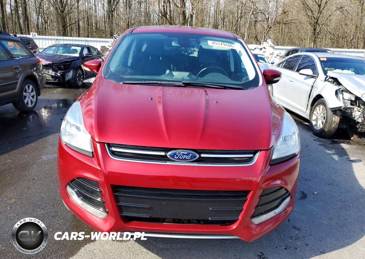 2013 Ford Escape Sel VIN:1FMCU9H9XDUB28216 - 5