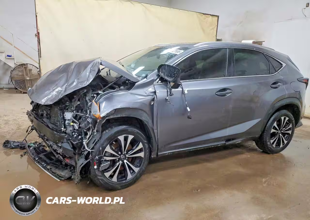 2021 Lexus Nx 300 F Sport